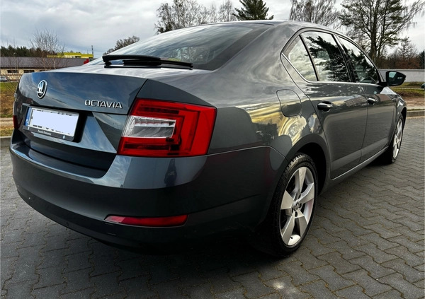 Skoda Octavia cena 45900 przebieg: 242000, rok produkcji 2016 z Jastrowie małe 79